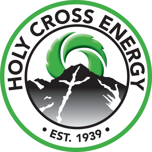 Holy Cross Energy HCE 2FA Case Study LoginTC