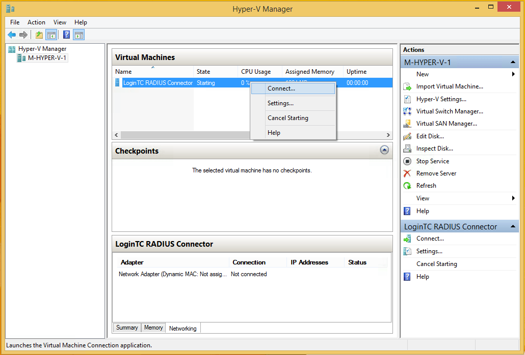 Connect to Hyper-V VM